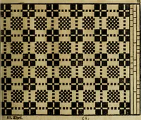 An illustration from Neu hervorkommendes Weber Kunst und Bild Buch (1736)