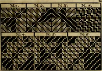 An illustration from Neu hervorkommendes Weber Kunst und Bild Buch (1736)