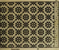An illustration from Neu hervorkommendes Weber Kunst und Bild Buch (1736)