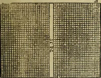 An illustration from Neu hervorkommendes Weber Kunst und Bild Buch (1736)