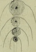 An illustration from Neu hervorkommendes Weber Kunst und Bild Buch (1736)