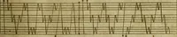 An illustration from Neu hervorkommendes Weber Kunst und Bild Buch (1736)