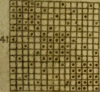 An illustration from Neu hervorkommendes Weber Kunst und Bild Buch (1736)