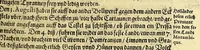 An illustration from Neundter Theil Orientalischer Indien, darinnen begrieffen ein kurtze Beschreibung einer Reyse, so von den Holländern vn[d] Seeländern, in die Orientalischen Indien, mit neun grossen vnd vier kleinen Schiffen, vnter der Admiralschafft Peter Wilhelm Verhuffen, in Jahren 1607. 1608. vnd 1609. verricht worden, neben Vermeldung, was ihnen fürnemlich auff solcher Reyse begegnet vnnd zu Handen gangen. (1612)