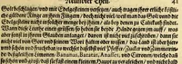 An illustration from Neundter Theil Orientalischer Indien, darinnen begrieffen ein kurtze Beschreibung einer Reyse, so von den Holländern vn[d] Seeländern, in die Orientalischen Indien, mit neun grossen vnd vier kleinen Schiffen, vnter der Admiralschafft Peter Wilhelm Verhuffen, in Jahren 1607. 1608. vnd 1609. verricht worden, neben Vermeldung, was ihnen fürnemlich auff solcher Reyse begegnet vnnd zu Handen gangen. (1612)