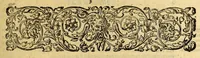 An illustration from Neundter Theil Orientalischer Indien, darinnen begrieffen ein kurtze Beschreibung einer Reyse, so von den Holländern vn[d] Seeländern, in die Orientalischen Indien, mit neun grossen vnd vier kleinen Schiffen, vnter der Admiralschafft Peter Wilhelm Verhuffen, in Jahren 1607. 1608. vnd 1609. verricht worden, neben Vermeldung, was ihnen fürnemlich auff solcher Reyse begegnet vnnd zu Handen gangen. (1612)