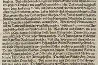 An illustration from Neundter vnd letzter Theil Americae, : darin[n] gehandelt wird, von Gelegenheit der Elementen, Natur, Art vnd eigenschafft der Newen Welt: item von derselben Völcker, abergläubischen Götzendienst, Policey vnd Regiments Ordnung: beneben einem seinen register oder Catalogo, aller Könige, von anfang ihrer Königreich an, biss auff den letzten König der Mexicaner, Motec̦uma genannt, den andern dess Nahmens, sampt eygentlicher Beschreibung der Wahl, Krönung, vnd Todt derselben, vnd letzlich was diese Indianer für Krieg wider einander geführet haben. Alles auffs trewlichste aus Niederländischer Beschreibung Iohan. Hugen von Lintschotten, in vnser Hochteutsche Sprache versetzet, durch Iohannem Humberger Wetterauium. Ferner auch von der Reise der fünff Schiffe, so im Junto dess 1598. Jahrs, in Hollandt aussgefahren, der meynung, durch das Fretum Magelanum, zu den Moluckischen Inseln zu Schiffen, wie sie nemlich von einander kommen vnd zerstrewetworden, also dass nur allein der Hauptmann Sebald de Weert, sampt noch einem Schiff beysammen blieben, vnd auff die vier Monat lang, mit grosser gefahr in dem Freto sich auffgehalten, welcher auch endlich, als er vber die 2. Jahr auff solcher Reise elendiglich zugebracht, mit einem Schiffe, Anno 1600. vnverrichter Sache wider anheim kommen. (1601)