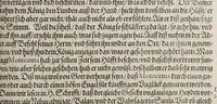 An illustration from Neundter vnd letzter Theil Americae, : darin[n] gehandelt wird, von Gelegenheit der Elementen, Natur, Art vnd eigenschafft der Newen Welt: item von derselben Völcker, abergläubischen Götzendienst, Policey vnd Regiments Ordnung: beneben einem seinen register oder Catalogo, aller Könige, von anfang ihrer Königreich an, biss auff den letzten König der Mexicaner, Motec̦uma genannt, den andern dess Nahmens, sampt eygentlicher Beschreibung der Wahl, Krönung, vnd Todt derselben, vnd letzlich was diese Indianer für Krieg wider einander geführet haben. Alles auffs trewlichste aus Niederländischer Beschreibung Iohan. Hugen von Lintschotten, in vnser Hochteutsche Sprache versetzet, durch Iohannem Humberger Wetterauium. Ferner auch von der Reise der fünff Schiffe, so im Junto dess 1598. Jahrs, in Hollandt aussgefahren, der meynung, durch das Fretum Magelanum, zu den Moluckischen Inseln zu Schiffen, wie sie nemlich von einander kommen vnd zerstrewetworden, also dass nur allein der Hauptmann Sebald de Weert, sampt noch einem Schiff beysammen blieben, vnd auff die vier Monat lang, mit grosser gefahr in dem Freto sich auffgehalten, welcher auch endlich, als er vber die 2. Jahr auff solcher Reise elendiglich zugebracht, mit einem Schiffe, Anno 1600. vnverrichter Sache wider anheim kommen. (1601)