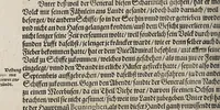 An illustration from Neundter vnd letzter Theil Americae, : darin[n] gehandelt wird, von Gelegenheit der Elementen, Natur, Art vnd eigenschafft der Newen Welt: item von derselben Völcker, abergläubischen Götzendienst, Policey vnd Regiments Ordnung: beneben einem seinen register oder Catalogo, aller Könige, von anfang ihrer Königreich an, biss auff den letzten König der Mexicaner, Motec̦uma genannt, den andern dess Nahmens, sampt eygentlicher Beschreibung der Wahl, Krönung, vnd Todt derselben, vnd letzlich was diese Indianer für Krieg wider einander geführet haben. Alles auffs trewlichste aus Niederländischer Beschreibung Iohan. Hugen von Lintschotten, in vnser Hochteutsche Sprache versetzet, durch Iohannem Humberger Wetterauium. Ferner auch von der Reise der fünff Schiffe, so im Junto dess 1598. Jahrs, in Hollandt aussgefahren, der meynung, durch das Fretum Magelanum, zu den Moluckischen Inseln zu Schiffen, wie sie nemlich von einander kommen vnd zerstrewetworden, also dass nur allein der Hauptmann Sebald de Weert, sampt noch einem Schiff beysammen blieben, vnd auff die vier Monat lang, mit grosser gefahr in dem Freto sich auffgehalten, welcher auch endlich, als er vber die 2. Jahr auff solcher Reise elendiglich zugebracht, mit einem Schiffe, Anno 1600. vnverrichter Sache wider anheim kommen. (1601)