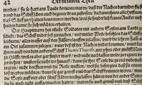 Picture 22 of 38 from Neundter vnd letzter Theil Americae, : darin[n] gehandelt wird, von Gelegenheit der Elementen, Natur, Art vnd eigenschafft der Newen Welt: item von derselben Völcker, abergläubischen Götzendienst, Policey vnd Regiments Ordnung: beneben einem seinen register oder Catalogo, aller Könige, von anfang ihrer Königreich an, biss auff den letzten König der Mexicaner, Motec̦uma genannt, den andern dess Nahmens, sampt eygentlicher Beschreibung der Wahl, Krönung, vnd Todt derselben, vnd letzlich was diese Indianer für Krieg wider einander geführet haben. Alles auffs trewlichste aus Niederländischer Beschreibung Iohan. Hugen von Lintschotten, in vnser Hochteutsche Sprache versetzet, durch Iohannem Humberger Wetterauium. Ferner auch von der Reise der fünff Schiffe, so im Junto dess 1598. Jahrs, in Hollandt aussgefahren, der meynung, durch das Fretum Magelanum, zu den Moluckischen Inseln zu Schiffen, wie sie nemlich von einander kommen vnd zerstrewetworden, also dass nur allein der Hauptmann Sebald de Weert, sampt noch einem Schiff beysammen blieben, vnd auff die vier Monat lang, mit grosser gefahr in dem Freto sich auffgehalten, welcher auch endlich, als er vber die 2. Jahr auff solcher Reise elendiglich zugebracht, mit einem Schiffe, Anno 1600. vnverrichter Sache wider anheim kommen. (1601), leaf 384