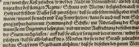 An illustration from Neundter vnd letzter Theil Americae, : darin[n] gehandelt wird, von Gelegenheit der Elementen, Natur, Art vnd eigenschafft der Newen Welt: item von derselben Völcker, abergläubischen Götzendienst, Policey vnd Regiments Ordnung: beneben einem seinen register oder Catalogo, aller Könige, von anfang ihrer Königreich an, biss auff den letzten König der Mexicaner, Motec̦uma genannt, den andern dess Nahmens, sampt eygentlicher Beschreibung der Wahl, Krönung, vnd Todt derselben, vnd letzlich was diese Indianer für Krieg wider einander geführet haben. Alles auffs trewlichste aus Niederländischer Beschreibung Iohan. Hugen von Lintschotten, in vnser Hochteutsche Sprache versetzet, durch Iohannem Humberger Wetterauium. Ferner auch von der Reise der fünff Schiffe, so im Junto dess 1598. Jahrs, in Hollandt aussgefahren, der meynung, durch das Fretum Magelanum, zu den Moluckischen Inseln zu Schiffen, wie sie nemlich von einander kommen vnd zerstrewetworden, also dass nur allein der Hauptmann Sebald de Weert, sampt noch einem Schiff beysammen blieben, vnd auff die vier Monat lang, mit grosser gefahr in dem Freto sich auffgehalten, welcher auch endlich, als er vber die 2. Jahr auff solcher Reise elendiglich zugebracht, mit einem Schiffe, Anno 1600. vnverrichter Sache wider anheim kommen. (1601)