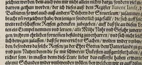 An illustration from Neundter vnd letzter Theil Americae, : darin[n] gehandelt wird, von Gelegenheit der Elementen, Natur, Art vnd eigenschafft der Newen Welt: item von derselben Völcker, abergläubischen Götzendienst, Policey vnd Regiments Ordnung: beneben einem seinen register oder Catalogo, aller Könige, von anfang ihrer Königreich an, biss auff den letzten König der Mexicaner, Motec̦uma genannt, den andern dess Nahmens, sampt eygentlicher Beschreibung der Wahl, Krönung, vnd Todt derselben, vnd letzlich was diese Indianer für Krieg wider einander geführet haben. Alles auffs trewlichste aus Niederländischer Beschreibung Iohan. Hugen von Lintschotten, in vnser Hochteutsche Sprache versetzet, durch Iohannem Humberger Wetterauium. Ferner auch von der Reise der fünff Schiffe, so im Junto dess 1598. Jahrs, in Hollandt aussgefahren, der meynung, durch das Fretum Magelanum, zu den Moluckischen Inseln zu Schiffen, wie sie nemlich von einander kommen vnd zerstrewetworden, also dass nur allein der Hauptmann Sebald de Weert, sampt noch einem Schiff beysammen blieben, vnd auff die vier Monat lang, mit grosser gefahr in dem Freto sich auffgehalten, welcher auch endlich, als er vber die 2. Jahr auff solcher Reise elendiglich zugebracht, mit einem Schiffe, Anno 1600. vnverrichter Sache wider anheim kommen. (1601)