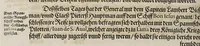 Picture 32 of 38 from Neundter vnd letzter Theil Americae, : darin[n] gehandelt wird, von Gelegenheit der Elementen, Natur, Art vnd eigenschafft der Newen Welt: item von derselben Völcker, abergläubischen Götzendienst, Policey vnd Regiments Ordnung: beneben einem seinen register oder Catalogo, aller Könige, von anfang ihrer Königreich an, biss auff den letzten König der Mexicaner, Motec̦uma genannt, den andern dess Nahmens, sampt eygentlicher Beschreibung der Wahl, Krönung, vnd Todt derselben, vnd letzlich was diese Indianer für Krieg wider einander geführet haben. Alles auffs trewlichste aus Niederländischer Beschreibung Iohan. Hugen von Lintschotten, in vnser Hochteutsche Sprache versetzet, durch Iohannem Humberger Wetterauium. Ferner auch von der Reise der fünff Schiffe, so im Junto dess 1598. Jahrs, in Hollandt aussgefahren, der meynung, durch das Fretum Magelanum, zu den Moluckischen Inseln zu Schiffen, wie sie nemlich von einander kommen vnd zerstrewetworden, also dass nur allein der Hauptmann Sebald de Weert, sampt noch einem Schiff beysammen blieben, vnd auff die vier Monat lang, mit grosser gefahr in dem Freto sich auffgehalten, welcher auch endlich, als er vber die 2. Jahr auff solcher Reise elendiglich zugebracht, mit einem Schiffe, Anno 1600. vnverrichter Sache wider anheim kommen. (1601), leaf 512