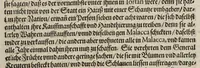 An illustration from Neundter vnd letzter Theil Americae, : darin[n] gehandelt wird, von Gelegenheit der Elementen, Natur, Art vnd eigenschafft der Newen Welt: item von derselben Völcker, abergläubischen Götzendienst, Policey vnd Regiments Ordnung: beneben einem seinen register oder Catalogo, aller Könige, von anfang ihrer Königreich an, biss auff den letzten König der Mexicaner, Motec̦uma genannt, den andern dess Nahmens, sampt eygentlicher Beschreibung der Wahl, Krönung, vnd Todt derselben, vnd letzlich was diese Indianer für Krieg wider einander geführet haben. Alles auffs trewlichste aus Niederländischer Beschreibung Iohan. Hugen von Lintschotten, in vnser Hochteutsche Sprache versetzet, durch Iohannem Humberger Wetterauium. Ferner auch von der Reise der fünff Schiffe, so im Junto dess 1598. Jahrs, in Hollandt aussgefahren, der meynung, durch das Fretum Magelanum, zu den Moluckischen Inseln zu Schiffen, wie sie nemlich von einander kommen vnd zerstrewetworden, also dass nur allein der Hauptmann Sebald de Weert, sampt noch einem Schiff beysammen blieben, vnd auff die vier Monat lang, mit grosser gefahr in dem Freto sich auffgehalten, welcher auch endlich, als er vber die 2. Jahr auff solcher Reise elendiglich zugebracht, mit einem Schiffe, Anno 1600. vnverrichter Sache wider anheim kommen. (1601)