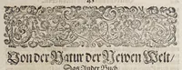 Picture 2 of 38 from Neundter vnd letzter Theil Americae, : darin[n] gehandelt wird, von Gelegenheit der Elementen, Natur, Art vnd eigenschafft der Newen Welt: item von derselben Völcker, abergläubischen Götzendienst, Policey vnd Regiments Ordnung: beneben einem seinen register oder Catalogo, aller Könige, von anfang ihrer Königreich an, biss auff den letzten König der Mexicaner, Motec̦uma genannt, den andern dess Nahmens, sampt eygentlicher Beschreibung der Wahl, Krönung, vnd Todt derselben, vnd letzlich was diese Indianer für Krieg wider einander geführet haben. Alles auffs trewlichste aus Niederländischer Beschreibung Iohan. Hugen von Lintschotten, in vnser Hochteutsche Sprache versetzet, durch Iohannem Humberger Wetterauium. Ferner auch von der Reise der fünff Schiffe, so im Junto dess 1598. Jahrs, in Hollandt aussgefahren, der meynung, durch das Fretum Magelanum, zu den Moluckischen Inseln zu Schiffen, wie sie nemlich von einander kommen vnd zerstrewetworden, also dass nur allein der Hauptmann Sebald de Weert, sampt noch einem Schiff beysammen blieben, vnd auff die vier Monat lang, mit grosser gefahr in dem Freto sich auffgehalten, welcher auch endlich, als er vber die 2. Jahr auff solcher Reise elendiglich zugebracht, mit einem Schiffe, Anno 1600. vnverrichter Sache wider anheim kommen. (1601), leaf 57