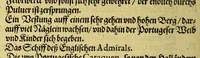 An illustration from Neundte Schiffart, das ist: Gründtliche Erklärung, was sich mit den Holl- vnnd Seeländern in Ost-Indien Anno 1604. vnd 1605. vnter dem Admiral Steffan von der Hagen zugetragen, : vnd wie sie endlich in jüngst abgeloffenem Aprili mit zwey Schiffen in Hollandt ankommen (1606)