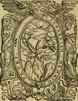 An illustration from Neuwe Chronica türckischer Nation von Türcken selbs beschrieben: volgendts gemehrt vnnd in vier Bücher abgetheilt. Das erst, Gitabi Teuarichi, Chronic oder Zeitbuch der Fürsten osmanischen stammens, von ihrem Ursprung .. biss auff den Sultan Suleiman Chan vnd das 1550. Jar Christi: welches... Herr Jeronymus Beck von Leopoldstorff [et]c. im nechst folgenden 1551. Jar von Constantinopol mit sich bracht. Das ander, von türckischen Geschichten, die nach dem 1550. Jar Christi biss auffs 1590. sich zugetragen. Das dritt, Pandectes türckischer Histori, das ist, vollkomner Bericht allerley türckischer Sachen vnd Erklärung derselben. Das viert, Etliche particular Beschreibungen mercklicher vnd zur türckischen Histori gehörigen Geschicht (1590)