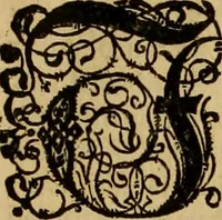 An illustration from Neuwer musulmanischer Histori türckischer Nation von jhrem Herkommen, Geschichten vnd Thaten. Drey Bücher die ersten vnter dreyssigen: dermassen ausz jhren selbs eigenen Historien gezogen vnd beschrieben dass dergleichen von jhren Sachen vnnd Geschichten bisshero nichts an Tag kommen (1590)