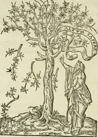 Picture 4 of 49 from Nevf livres de la dignité et de l'accroissement des sciences (1632), leaf 17