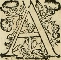 An illustration from Nevf livres de la dignité et de l'accroissement des sciences (1632)