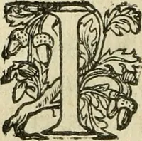 Picture 35 of 49 from Nevf livres de la dignité et de l'accroissement des sciences (1632), leaf 385