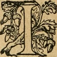 Picture 40 of 49 from Nevf livres de la dignité et de l'accroissement des sciences (1632), leaf 507