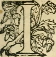 An illustration from Nevf livres de la dignité et de l'accroissement des sciences (1632)