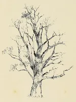 An illustration from The new Africa : a journey up the Chobe and down the Okovanga rivers : a record of exploration and sport (1897)