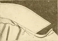 An illustration from The new dressmaker; with complete and fully illustrated instructions on every point connected with sewing, dressmaking and tailoring, from the actual stitches to the cutting, making, altering, mending, and cleaning of clothes for ladies, misses, girls, children, infants, men and boys (1921)