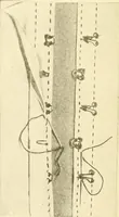 An illustration from The new dressmaker; with complete and fully illustrated instructions on every point connected with sewing, dressmaking and tailoring, from the actual stitches to the cutting, making, altering, mending, and cleaning of clothes for ladies, misses, girls, children, infants, men and boys (1921)