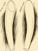 An illustration from The new dressmaker; with complete and fully illustrated instructions on every point connected with sewing, dressmaking and tailoring, from the actual stitches to the cutting, making, altering, mending, and cleaning of clothes for ladies, misses, girls, children, infants, men and boys (1921)