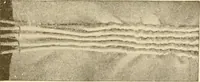 An illustration from The new dressmaker; with complete and fully illustrated instructions on every point connected with sewing, dressmaking and tailoring, from the actual stitches to the cutting, making, altering, mending, and cleaning of clothes for ladies, misses, girls, children, infants, men and boys (1921)