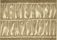 An illustration from The new dressmaker; with complete and fully illustrated instructions on every point connected with sewing, dressmaking and tailoring, from the actual stitches to the cutting, making, altering, mending, and cleaning of clothes for ladies, misses, girls, children, infants, men and boys (1921)