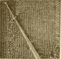 An illustration from The new dressmaker; with complete and fully illustrated instructions on every point connected with sewing, dressmaking and tailoring, from the actual stitches to the cutting, making, altering, mending, and cleaning of clothes for ladies, misses, girls, children, infants, men and boys (1921)