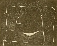 An illustration from The new dressmaker; with complete and fully illustrated instructions on every point connected with sewing, dressmaking and tailoring, from the actual stitches to the cutting, making, altering, mending, and cleaning of clothes for ladies, misses, girls, children, infants, men and boys (1921)