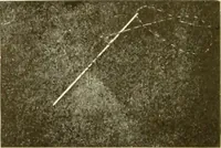 An illustration from The new dressmaker; with complete and fully illustrated instructions on every point connected with sewing, dressmaking and tailoring, from the actual stitches to the cutting, making, altering, mending, and cleaning of clothes for ladies, misses, girls, children, infants, men and boys (1921)