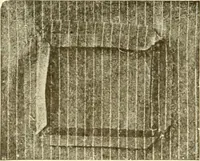 An illustration from The new dressmaker; with complete and fully illustrated instructions on every point connected with sewing, dressmaking and tailoring, from the actual stitches to the cutting, making, altering, mending, and cleaning of clothes for ladies, misses, girls, children, infants, men and boys (1921)