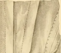 An illustration from The new dressmaker; with complete and fully illustrated instructions on every point connected with sewing, dressmaking and tailoring, from the actual stitches to the cutting, making, altering, mending, and cleaning of clothes for ladies, misses, girls, children, infants, men and boys (1921)