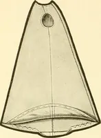 An illustration from The new dressmaker; with complete and fully illustrated instructions on every point connected with sewing, dressmaking and tailoring, from the actual stitches to the cutting, making, altering, mending, and cleaning of clothes for ladies, misses, girls, children, infants, men and boys (1921)