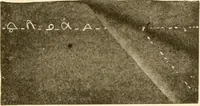 An illustration from The new dressmaker; with complete and fully illustrated instructions on every point connected with sewing, dressmaking and tailoring, from the actual stitches to the cutting, making, altering, mending, and cleaning of clothes for ladies, misses, girls, children, infants, men and boys (1921)