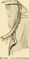 An illustration from The new dressmaker; with complete and fully illustrated instructions on every point connected with sewing, dressmaking and tailoring, from the actual stitches to the cutting, making, altering, mending, and cleaning of clothes for ladies, misses, girls, children, infants, men and boys (1921)