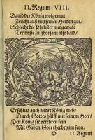 Picture 7 of 16 from Newe Biblische Figuren (1579), leaf 209