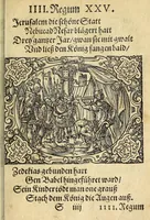 An illustration from Newe Biblische Figuren (1579)