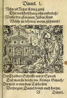 Picture 10 of 16 from Newe Biblische Figuren (1579), leaf 301