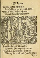 An illustration from Newe Biblische Figuren (1579)
