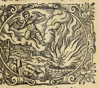 Picture 16 of 16 from Newe Biblische Figuren (1579), leaf 379