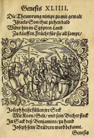 An illustration from Newe Biblische Figuren (1579)