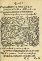 An illustration from Newe Biblische Figuren (1579)