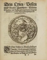 An illustration from Newe geometrische vnd perspectiuische Inuentiones etlicher sonderbahrer Instrument, die zum perspectiuischen Grundreissen der Pasteyen vnnd Vestungen, wie auch zum planimetrischen Grundlegen der Stätt, Feldläger vnd Landtschafften, dessgleichen zur Büchsenmeisterey sehr nützlich vnnd gebrauchsam seynd : auss demonstriertem vnnd bewehrtem Fundament zusammen geordnet, vnd mit verständlichen Kupfferstücken in Truck gegeben (1610)