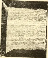 An illustration from The New-England primer; a history of its origin and development; with a reprint of the unique copy of the earliest known edition and many facsimile illustrations and reproductions (1897)